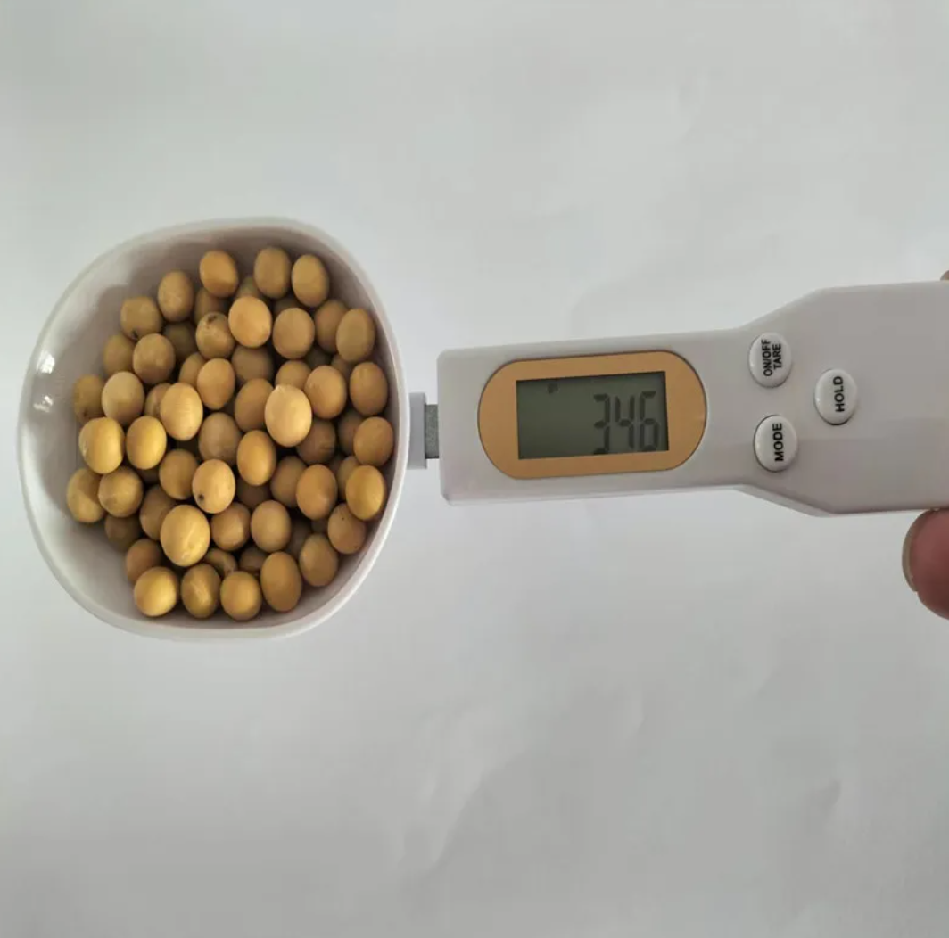 Spoon Scale - Beyond Limits