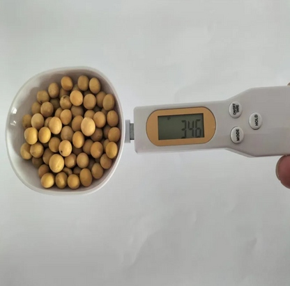 Spoon Scale - Beyond Limits